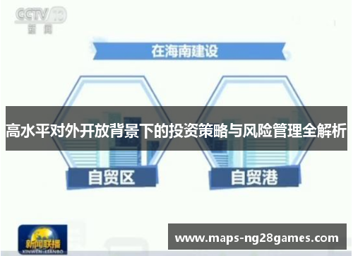 高水平对外开放背景下的投资策略与风险管理全解析